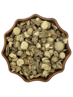 جدوا هندی