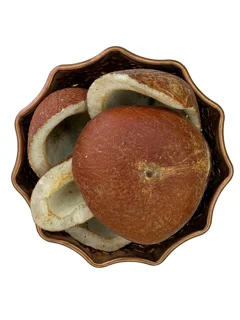 نارگیل قاب
