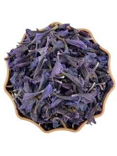گاوزبان گیلانی