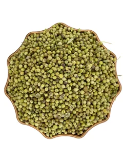 تخم گشنیز توپی